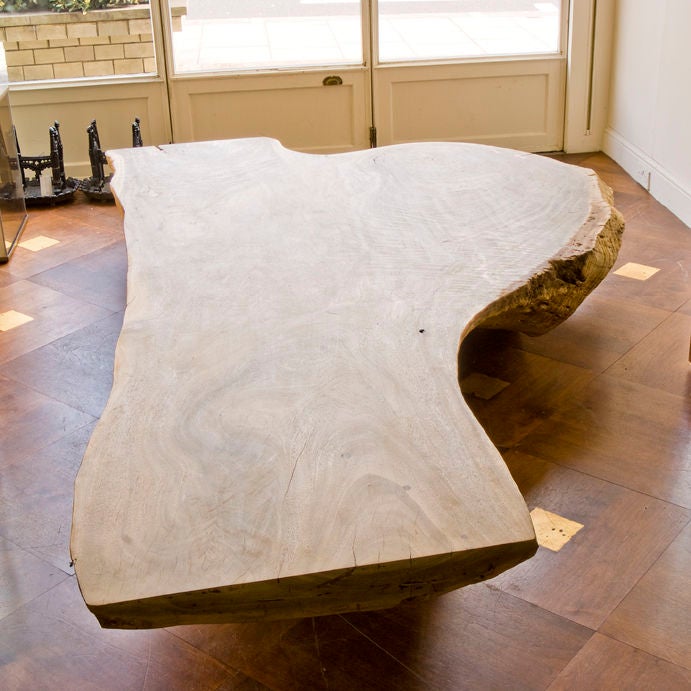 Unusually large driftwood section as a coffee table, Acacia wood, South East Asia
