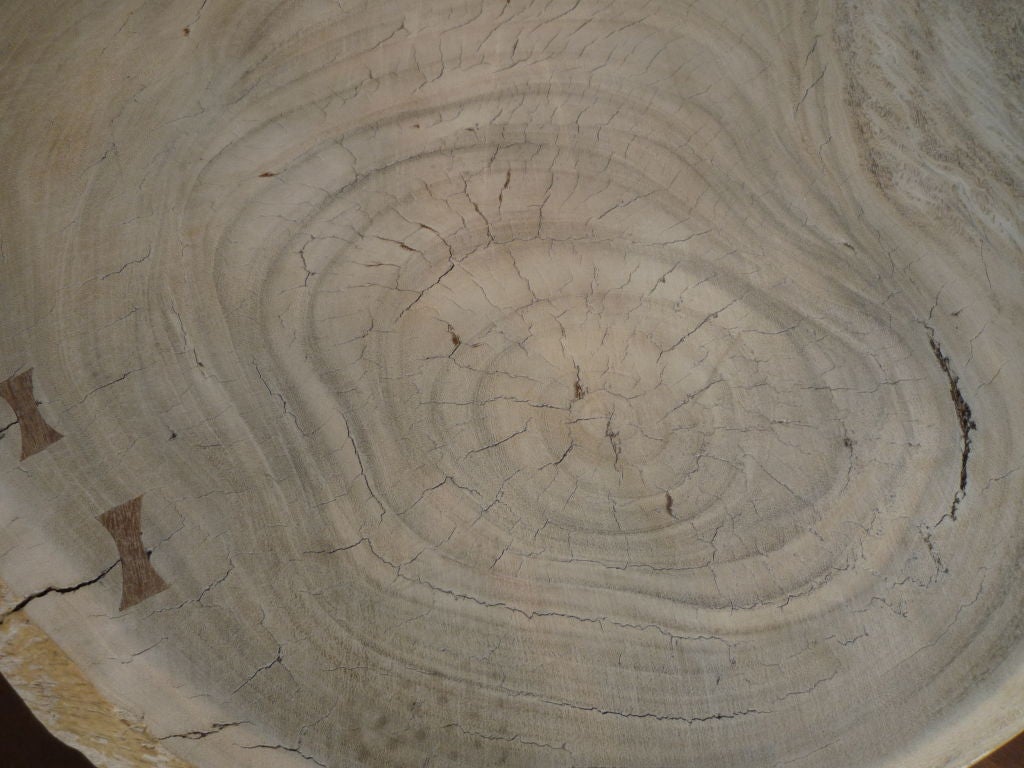 20th Century Large Acacia Driftwood Coffee Table