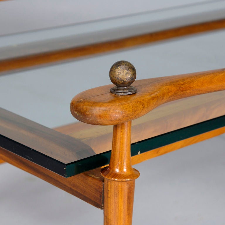 Coffee Table of Organic Form, Sao Paulo, Brazil by Scapinelli