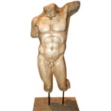 Classical Carved Marble Male Torso