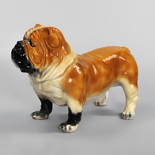 Beautifully modelled Early 20th Century Staffordshire Figure of a Bulldog.
