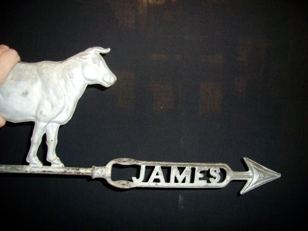 Cast zinc lightning rod weathervane with the name James cast on its directional rod.  