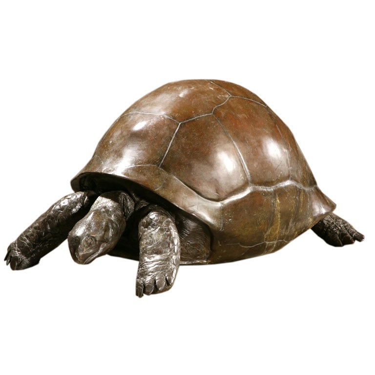 A Bronze Tortoise by Talisman