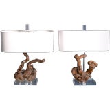 A Pair of 1950s Root Table Lamps set on Lucite Bases