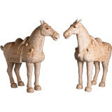 A Exceptionally Large Pair of Tang Horses 1960s