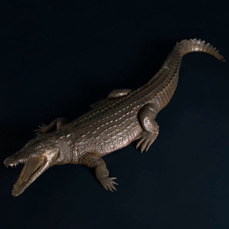 A Bronze Cast of a Crocodile by Tim Nicklin dated 1991