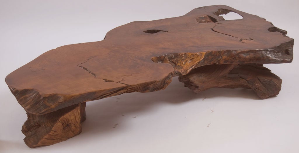 Over seven feet long, sculptural and monumental, this incredible redwood burl table is supported by tree root bases.  Extremely thick top.