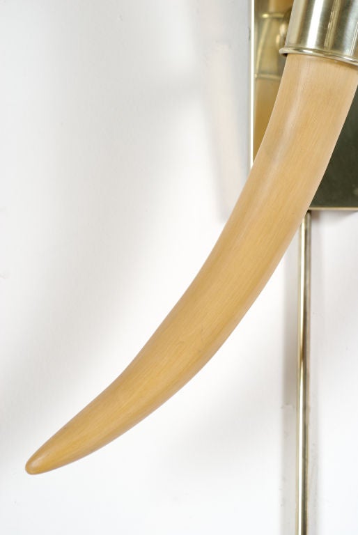 Brass Pair Chapman Faux Tusk Sconces