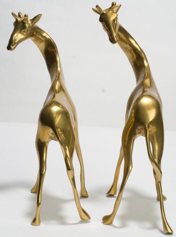So fluid as to appear in motion, these cast brass giraffe figurines are stunning.