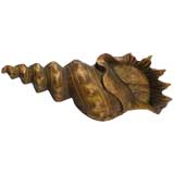 Large Carved Chestnut Sculpture Of A Murex Shell