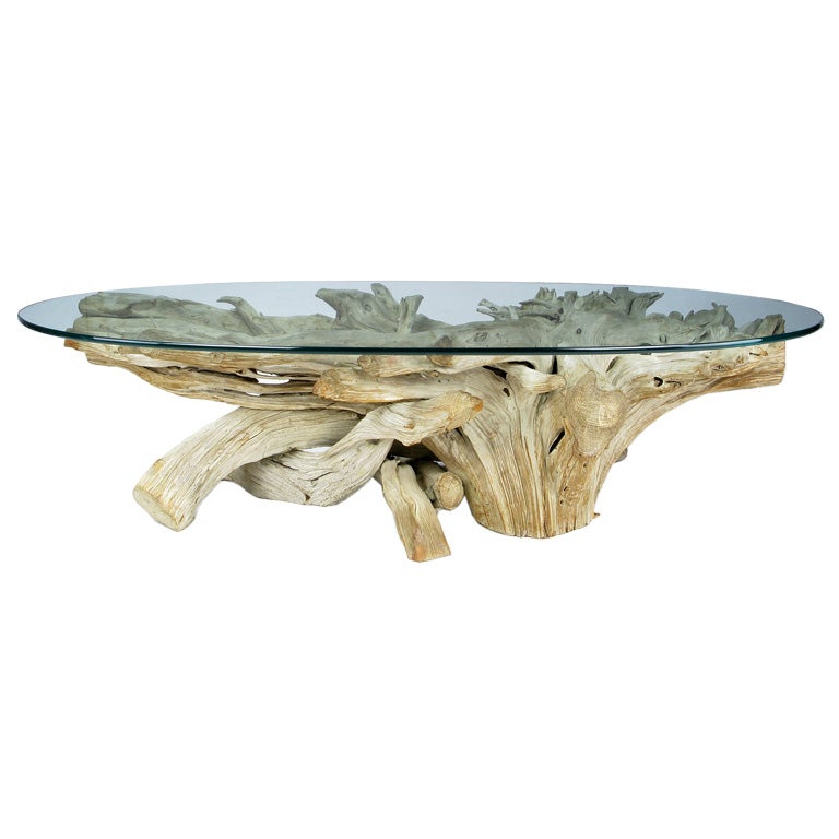 Classic California Modern Driftwood Coffee Table