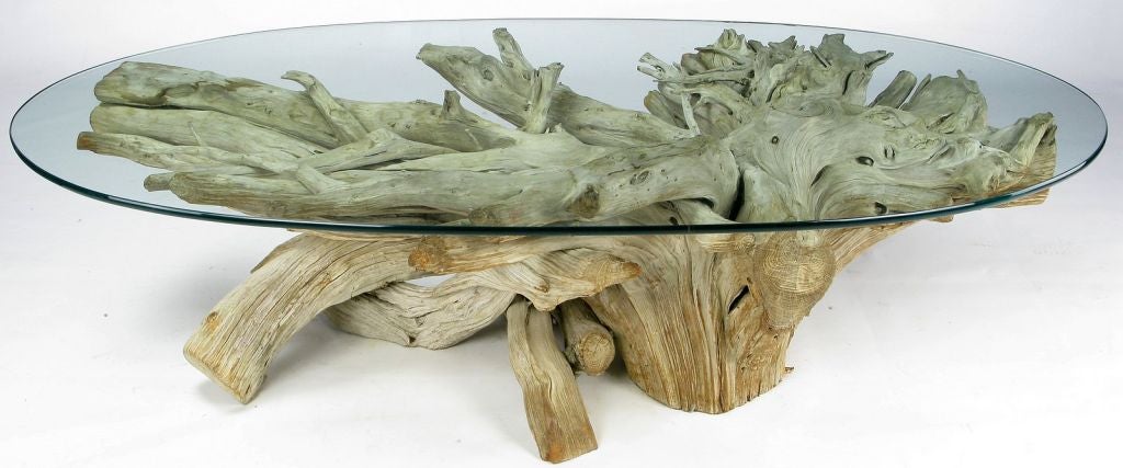 20th Century Classic California Modern Driftwood Coffee Table