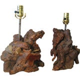 Pair of Rootwood Lamps