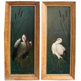 Pair of victorian paintings of herons