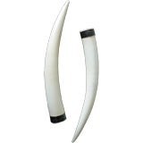 Pair of 19th century silver mounted ivory tusks
