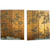 Pair of vintage hand painted screens