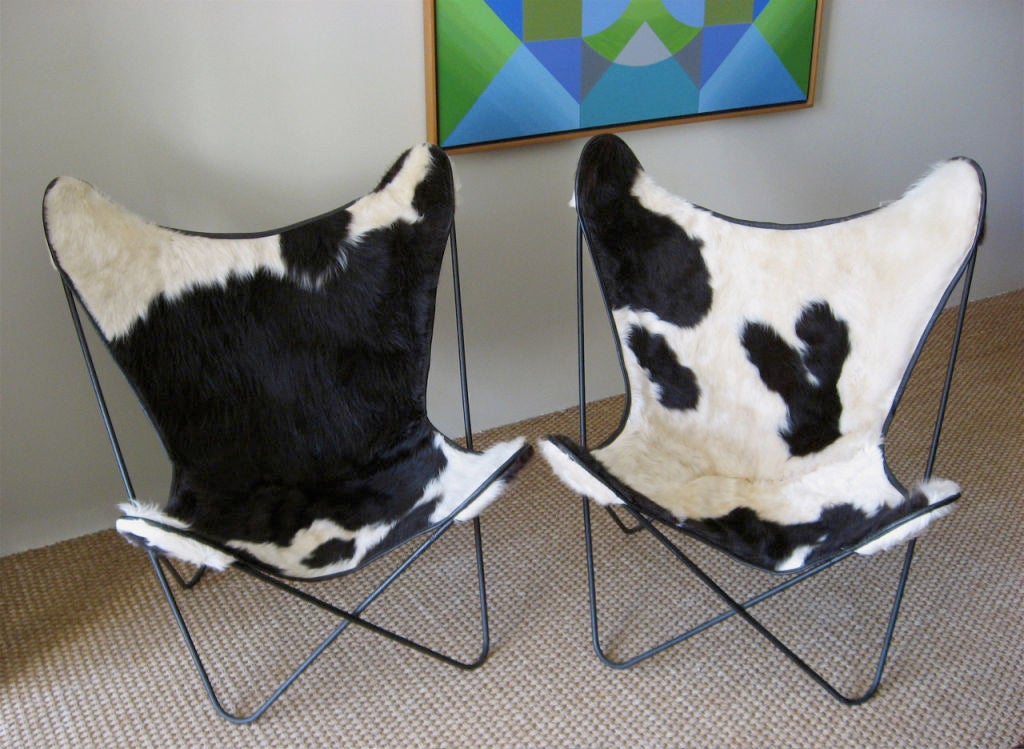 Pair of cool Hardoy or Butterfly Chairs of enameled solid steel frame, with calf hide sling in excellent condition. Made by Knoll (1947-1952) before the more practical folding versions were produced.