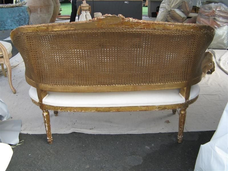 19th C. French Cane Giltwood Settee