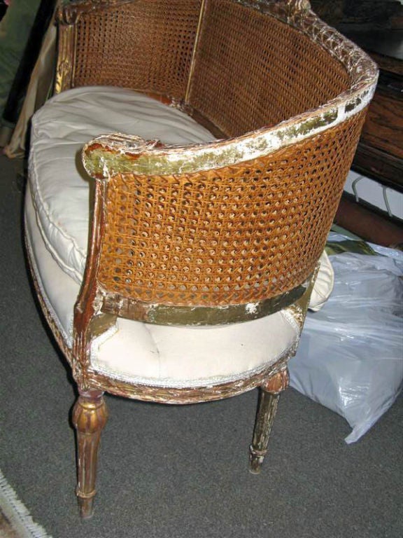 20th Century 1920's French Cane Settee