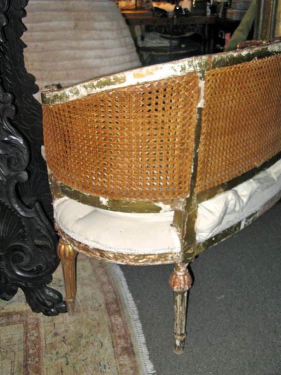 1920's French Cane Settee 1