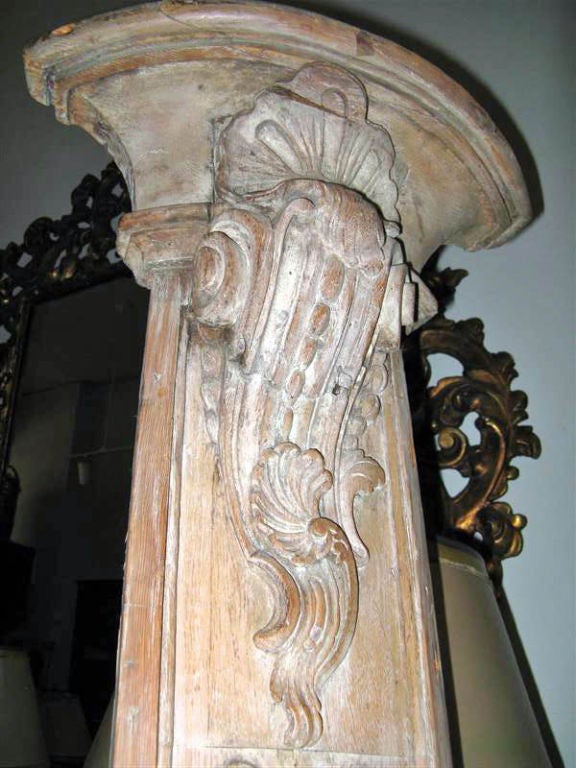 Pair of 19th C. Italian Pilasters 3