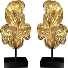 Pair of  Carved Giltwood Acanthus Leaf Decor on Stands
