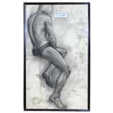 Antique Anatomical Drawings (set of five)