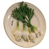 Trompe L'oeil Porcelain Plate with Onion