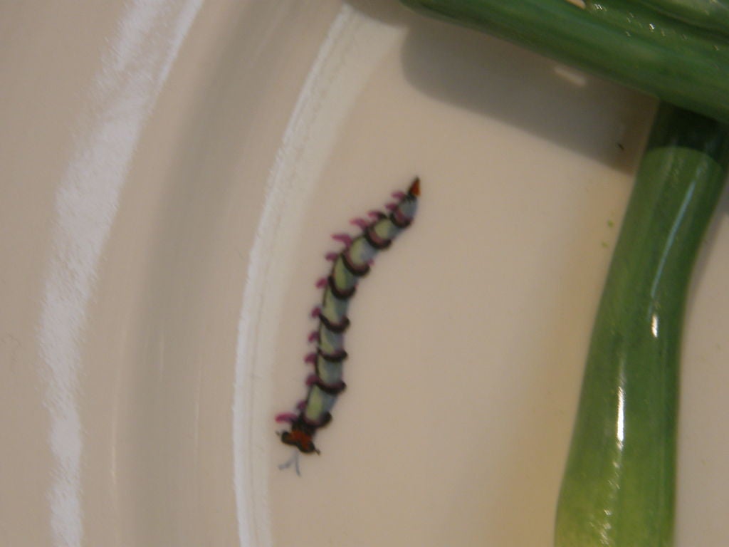 Trompe L'oeil Porcelain Plate with Onion