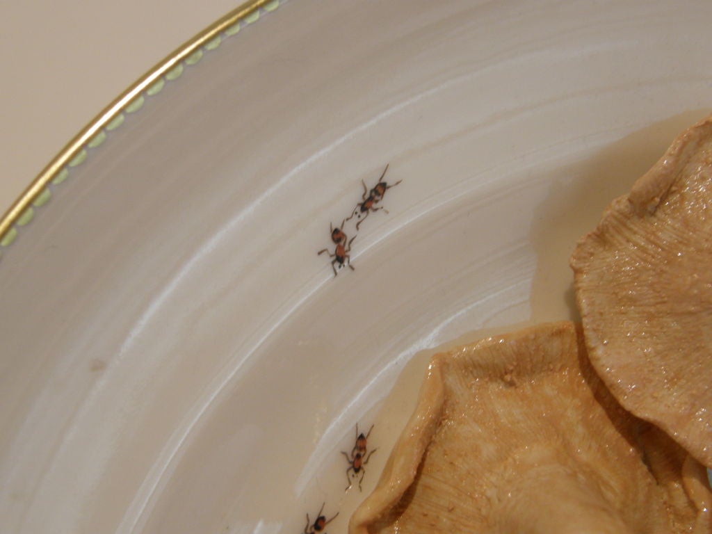 Trompe L'oeil Porcelain Plate with Mushrooms