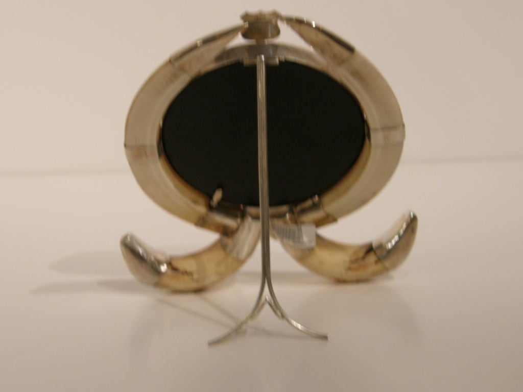 English Antique Boars Tusk Frame For Sale