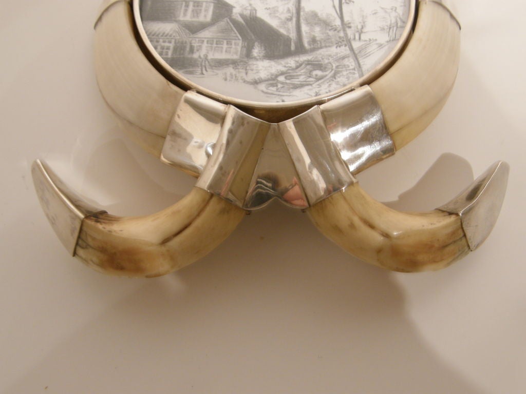 Antique Boars Tusk Frame For Sale 4