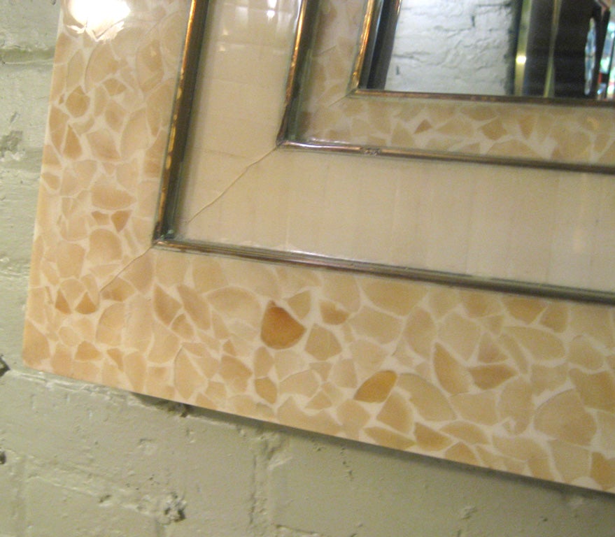 Resin Shell and Brass Mirror