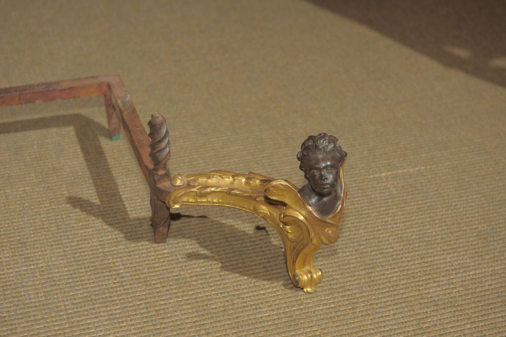An Elegant Pair of Louis XV Andirons