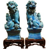 Antique A Noble Pair of 18th Century Foo Dogs