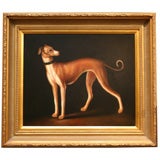 Vintage An Elegant Oil on Canvas Painting of a Whippet