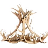 European Antique Deer and Moose Antler Light Fixture