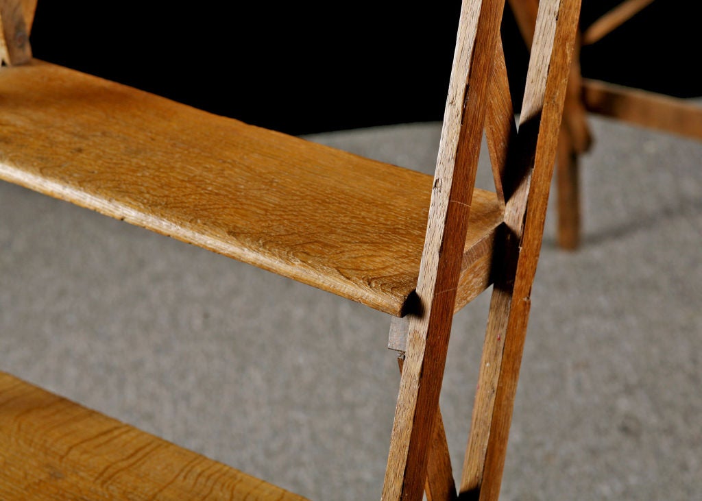 19th Century French Folding Library Ladder