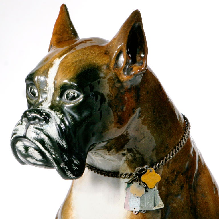 Take him home and never have to walk him!! A wonderful life-size canine that can sit regally by your front door. This 3 foot high ceramic boxer is glazed in strong Majolica colors and proudly wears a real chain collar with original vintage metal dog