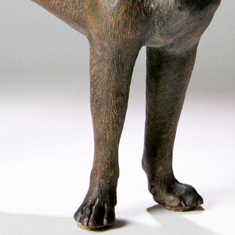 English Terracotta Shepherd Dog For Sale