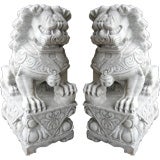 Large Pair of White Marble Foo Dogs