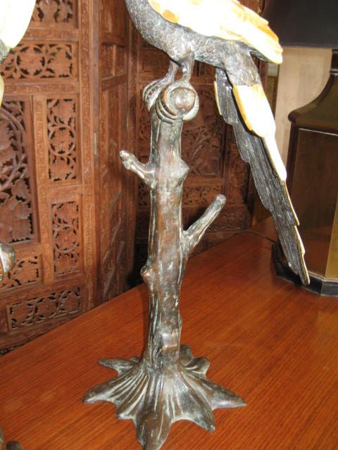Maitland Smith Bronze and Mother of Pearl Parrots 3