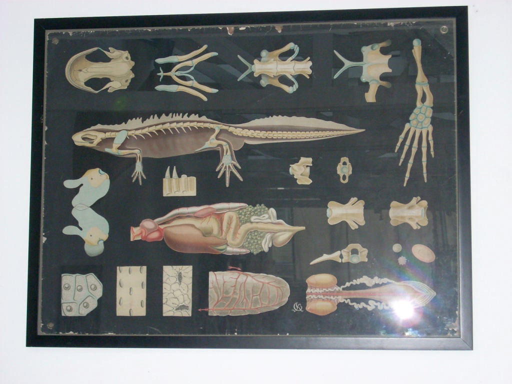 Antique Chart