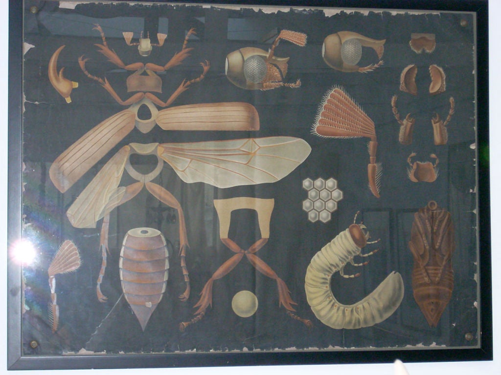 Antique chart