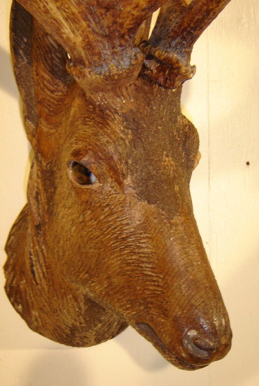 A pair of black forest carved deer heads