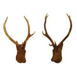 A pair of black forest carved deer heads