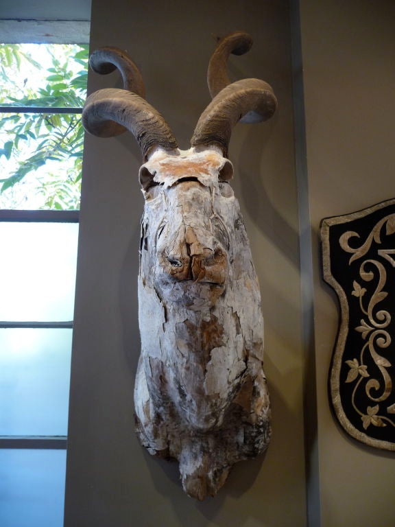 French Stunning Papier Mache Kudu Trophy With Natural Horns For Sale