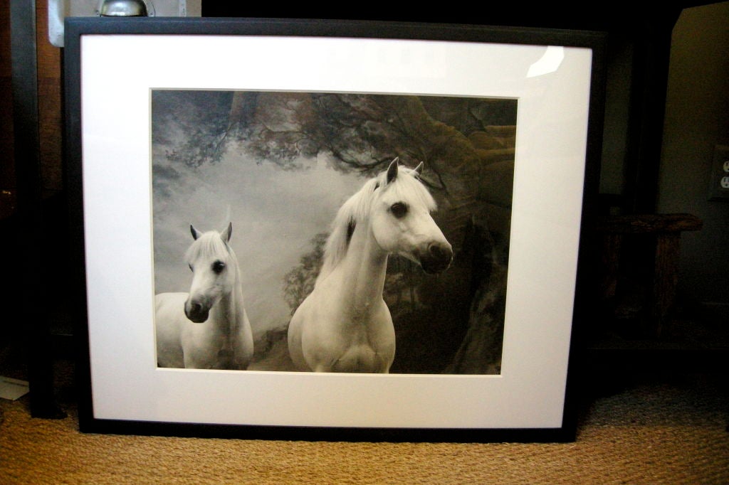 Photographs by Sheila Rock