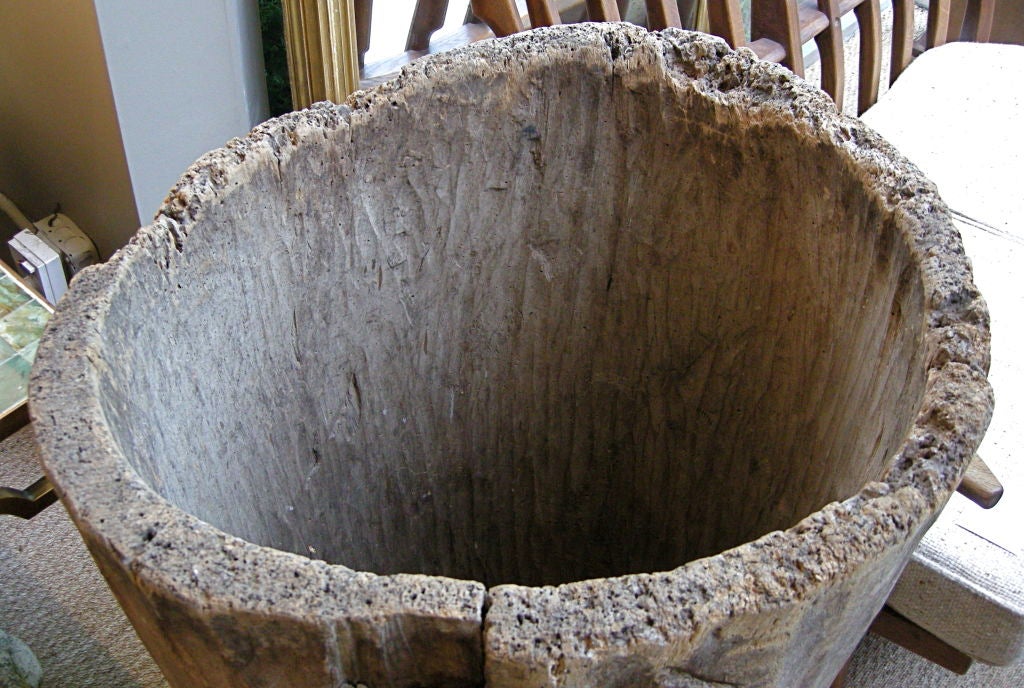 Large Tree Barrel