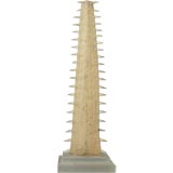 Very Large Sawfish Rostrum Mounted on Lucite Stand